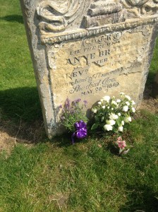 Lavender courtesy of DTK!